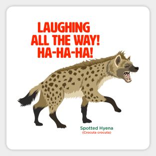 Spotted Hyena Laughing all the Way Magnet
